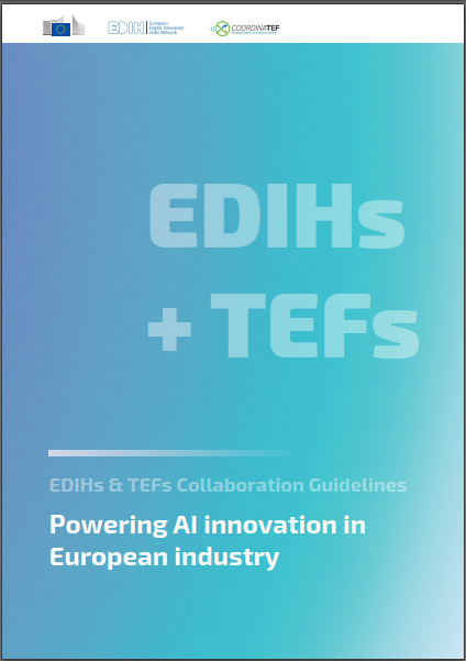 edih-summit-leaflet-image-picture